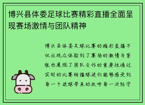 博兴县体委足球比赛精彩直播全面呈现赛场激情与团队精神